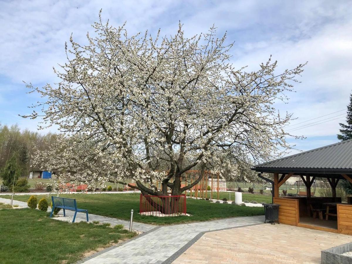 Zbylitowska Gora Hotel Kardamon מראה חיצוני תמונה
